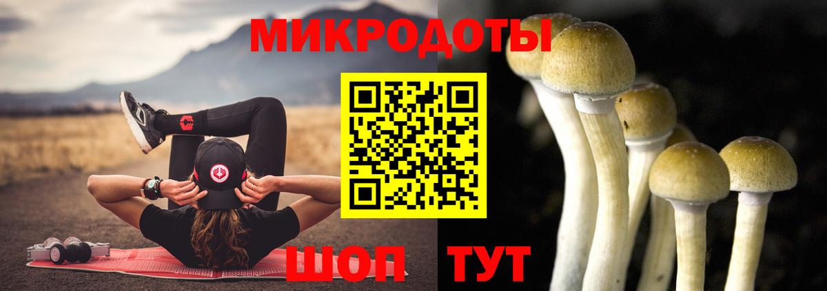 купить наркотик  Галлюциногенные грибы мухоморы  Вход с VPN  Борзя 
